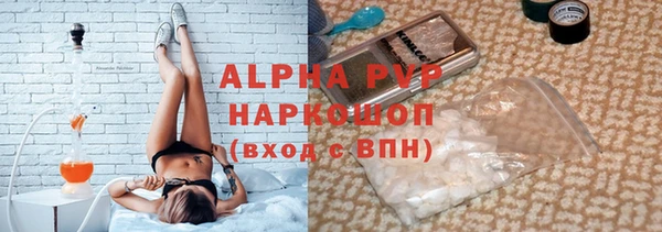 прущие грибы Балахна